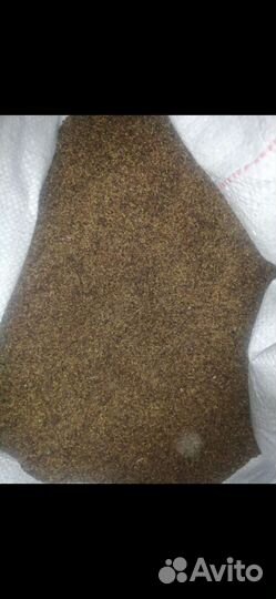 Семена люцерны