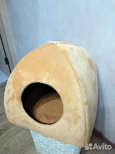 Домик для кошки. Шлейка для кошки или собачки