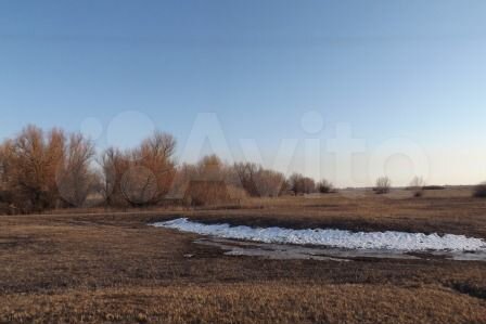 Участок 36 га (СНТ, ДНП)