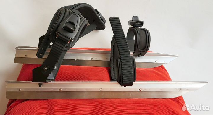 Озерные коньки байсы