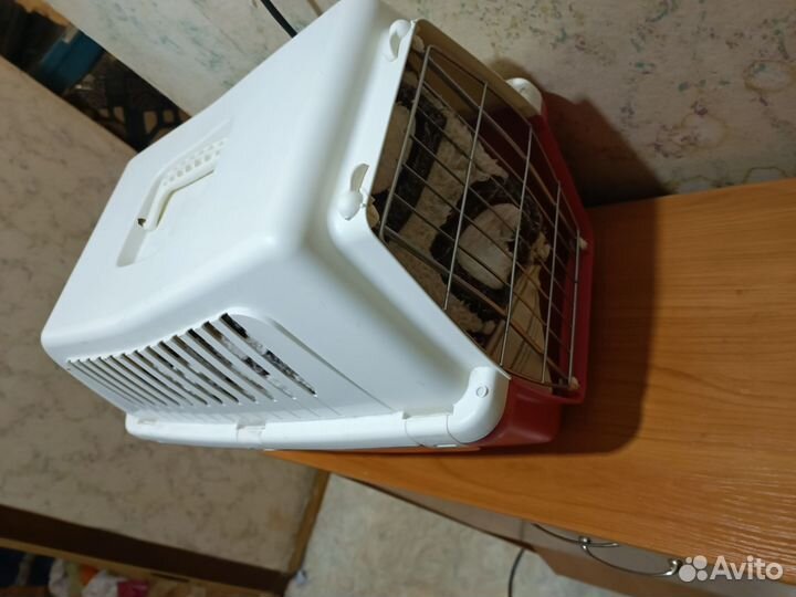 Переноска для животных пластиковая