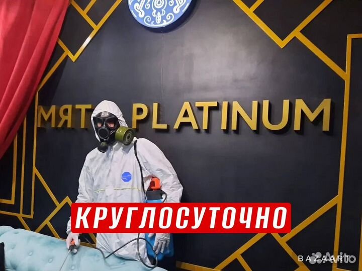 Уничтожение тараканов клопов плесени Дезинфекция