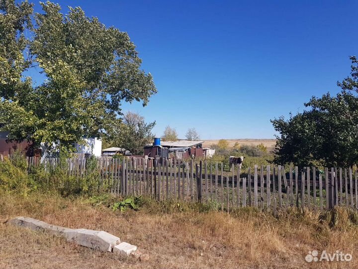 Недвижимость