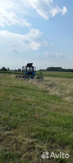 Сено укос 2023 года