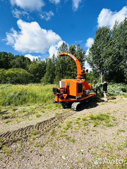 Расчистка участков от деревьев и кустарника