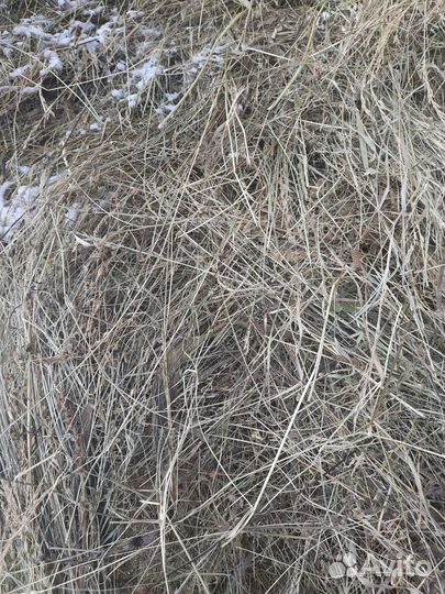 Сено луговое