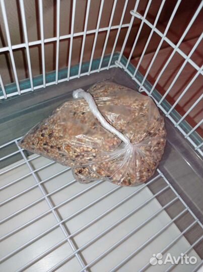 Клетка для волнистого попугая