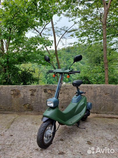 Honda zook