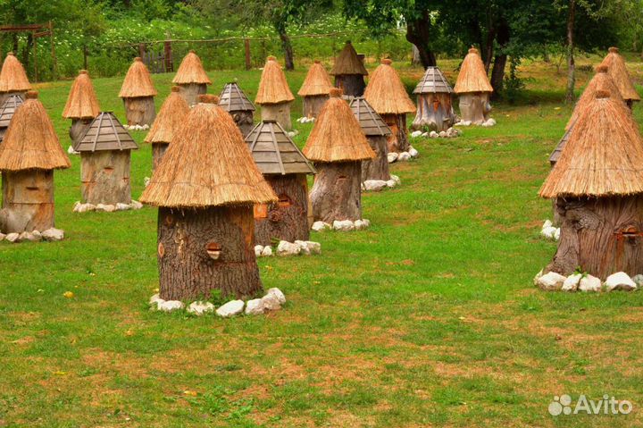 Продаю колоды для пчел