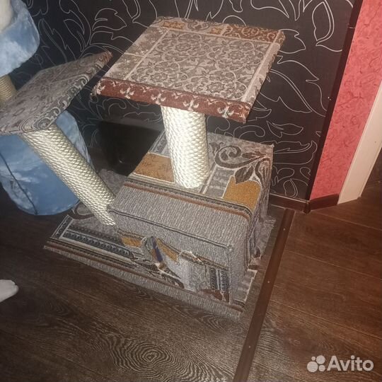 Когтеточка