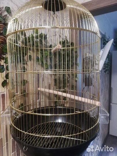 Клетка большая круглая 45*71, новая