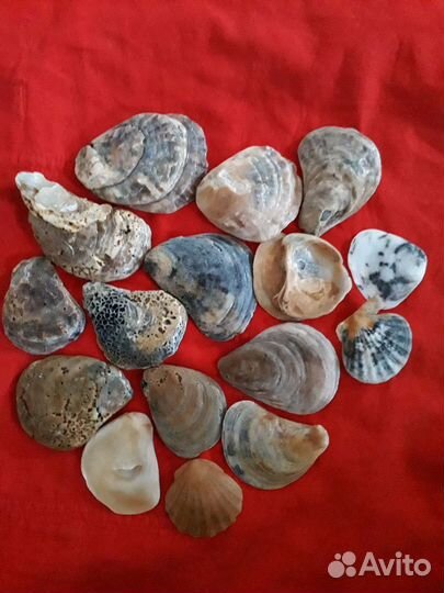 Набор для творчества