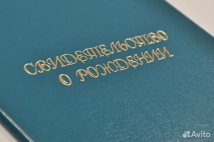 Папка А5 Свид-во о рождении синяя Канцбург