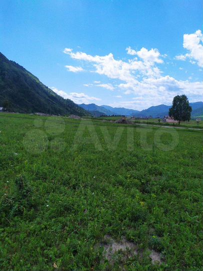 Участок 14,2 сот. (СНТ, ДНП)