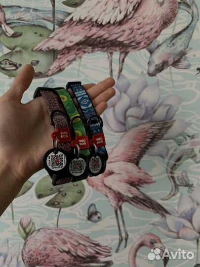 Амуниция для собак