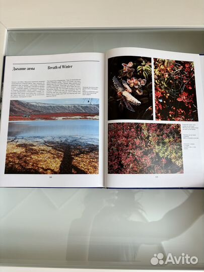 Книга Чудеса Земли Камчатки