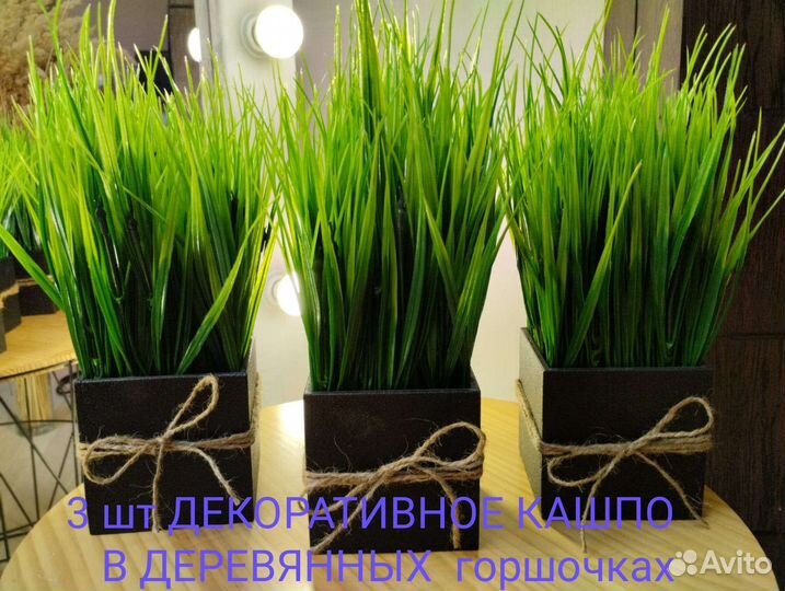 Декоративная осока в деревянном кашпо