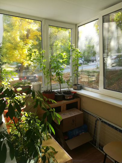 2-к. квартира, 50,8 м², 1/5 эт.