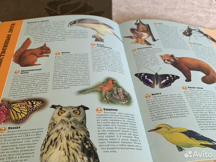 Книга планета животных