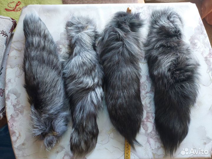 Хвосты лисьи