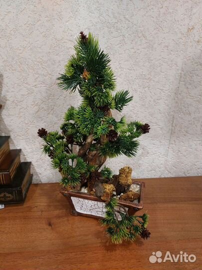 Бонсай дерево