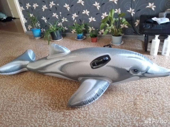 Надувной дельфин intex 175см х 66см