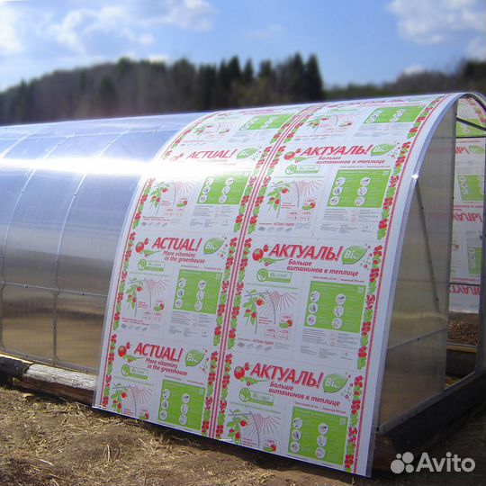 Сотовый поликарбонат 4мм