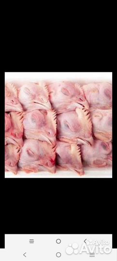 Куриные головы