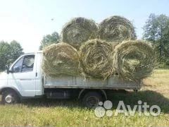 Сено С доставкой (рулоны 350кг)