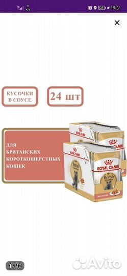 Влажный корм для британских кошек