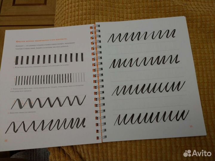 Основы каллиграфии и леттеринга прописи