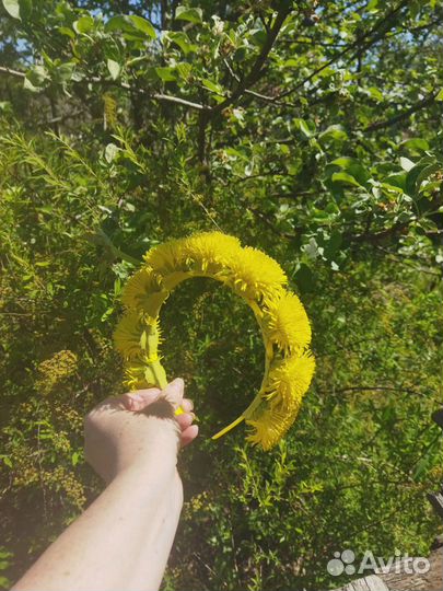 Ободок одуванчик