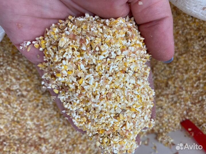Кукурузная крупа