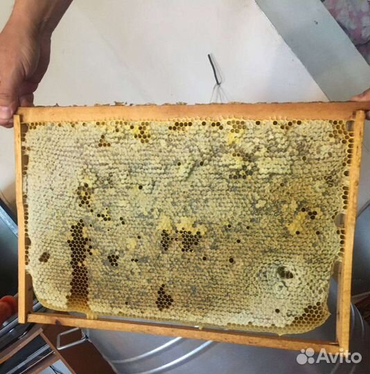 Настоящий Мёд с личной пасеки