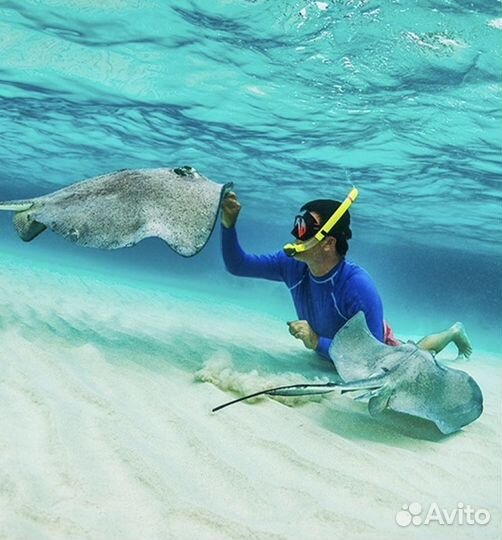 Набор для сноркелинга