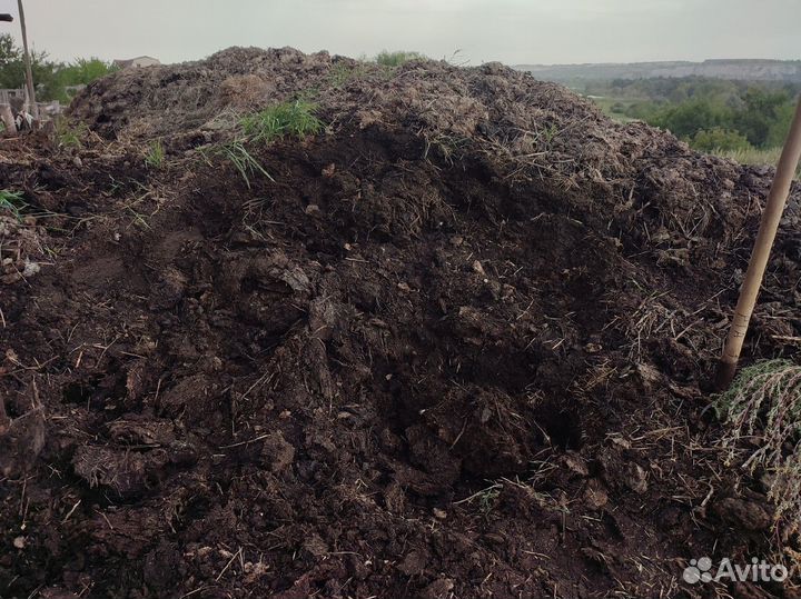 Навоз коровий