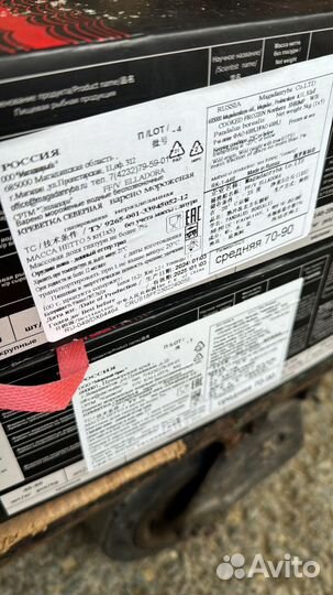 Магаданская креветка