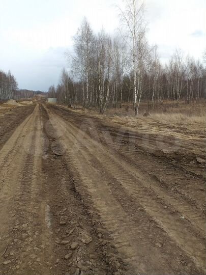 Участок 10 сот. (ИЖС)