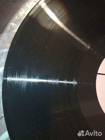 Алексей Кузнецов 