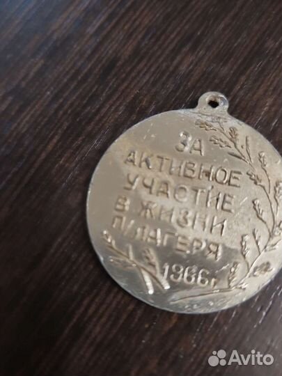 Памятная медаль 1966 год