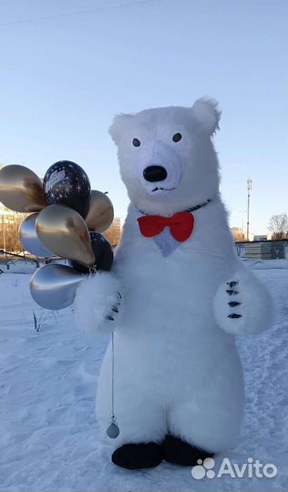 Поздравление от Кокоса