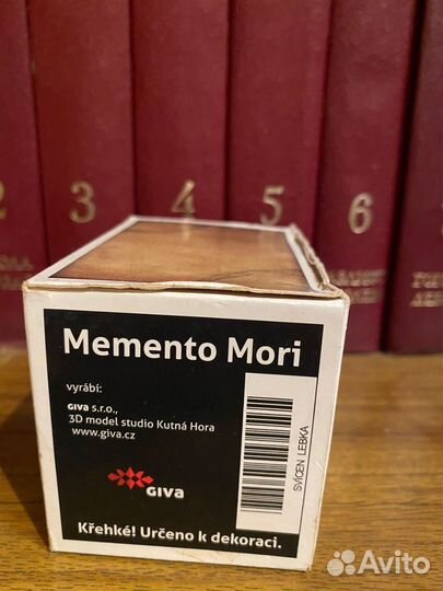 Череп memento mori