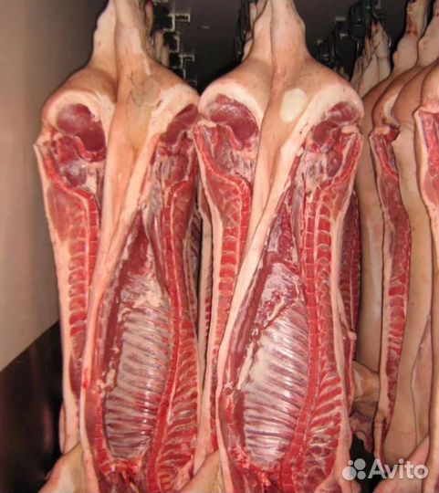 Мясо свинина (полутуши и частями)