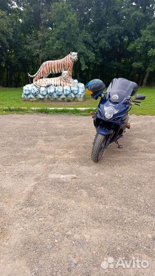 Suzuki gsf1250f bandit