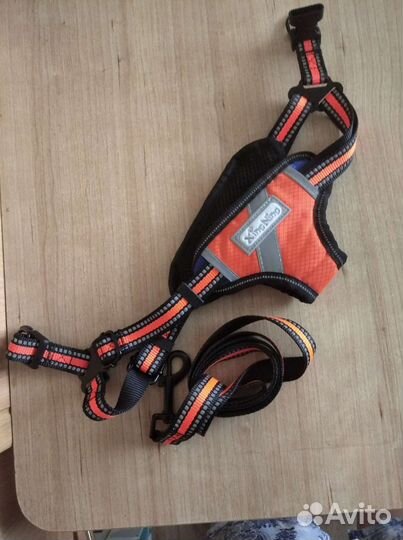 Шлейка и поводок