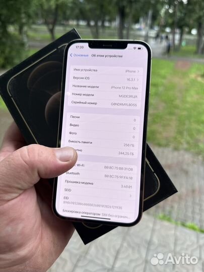 iPhone 12 Pro Max, 256 ГБ