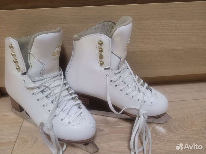 Коньки Jackson elle 2130 6C