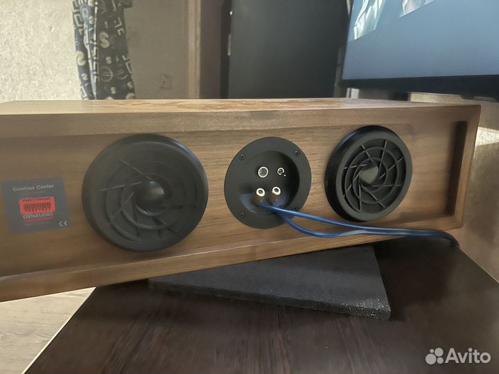 Центральный канал dynaudio