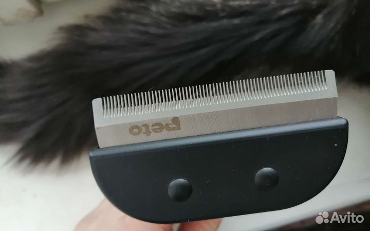 Товары для животных