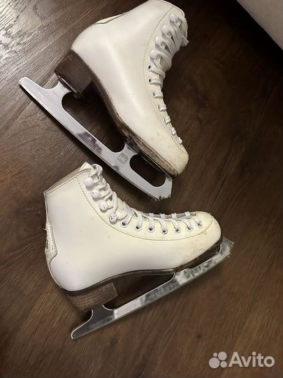 Фигурные коньки wifa primaset+ аксессуары